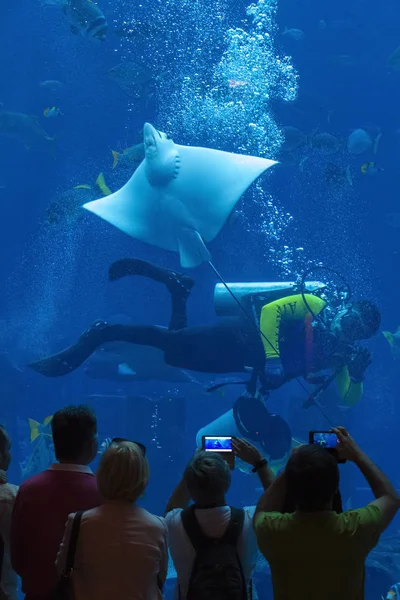 Tourists take pictures of the aquarium — Stock Photo, Image