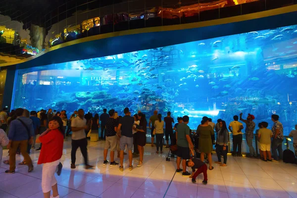 Acuario en Dubai Centro Comercial — Foto de Stock