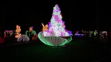 Dubai Bahçesi Parıltısı