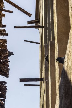 Eski şehirde güvercinler