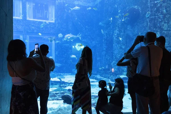 O aquário de câmaras perdido — Fotografia de Stock