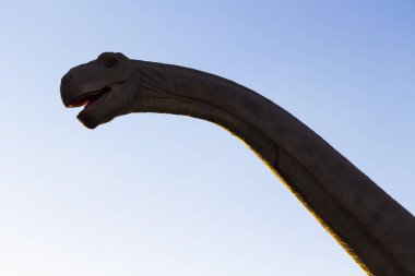 Bir dinozorun kafası ve boynu.