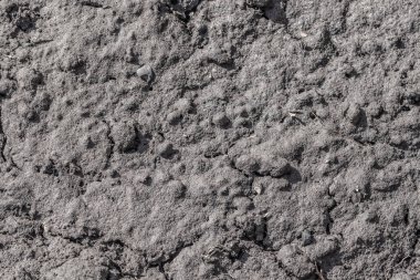 Karlar eridikten sonra kara bereketli toprakların yüzeyi.