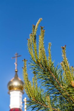 Ortodoks kilisesinin kubbesindeki altın haç..