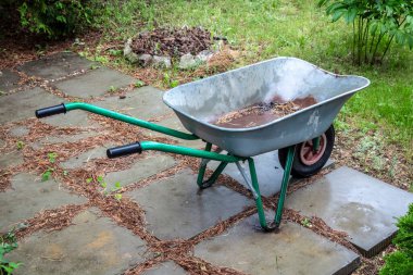 Terk edilmiş bahçe arka bahçedeki çalılıklarda yatıyor..