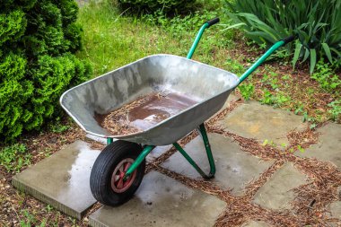 Terk edilmiş bahçe arka bahçedeki çalılıklarda yatıyor..