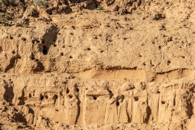 Çoğu gün batımında çamur dağında yuva yutar..