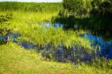Kırsal kesimin kıyılarında su baskını.