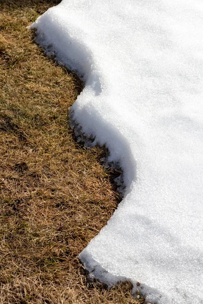 Schnee Schmilzt Allmählich Auf Dem Rasen — Stockfoto