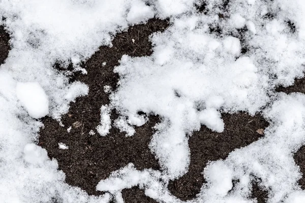 雪が徐々に芝生の上で溶けている — ストック写真