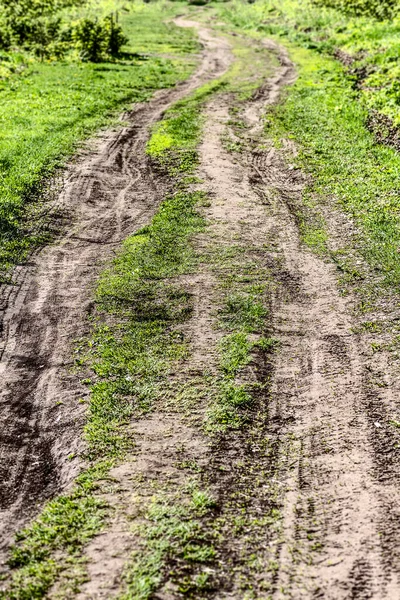 Ländliche Kurvenreiche Piste Einer Straße Nahaufnahme — Stockfoto