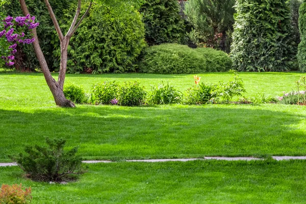 Свежескошенная Трава Заднем Дворе Частного Дома — стоковое фото