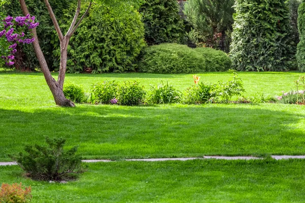 Herbe Fraîchement Coupée Dans Cour Une Maison Privée — Photo