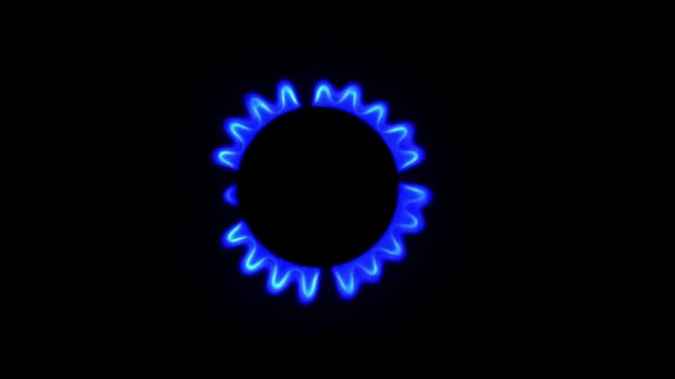 Plynový Sporák Zblízka Plyn Hoří Modrým Plamenem — Stock video