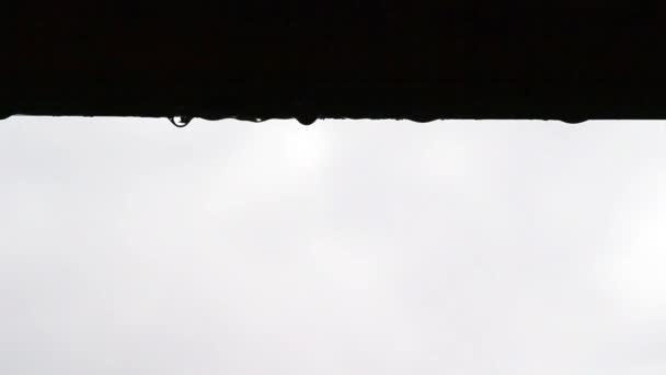 雨天房顶上的水滴 — 图库视频影像