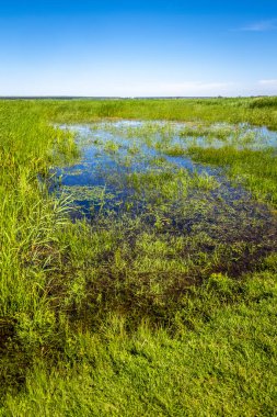 Kırsal kesimin kıyılarında su baskını.