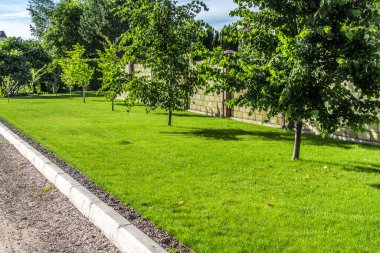 Özel bir evin arka bahçesinde güzel, dengeli bir çim..