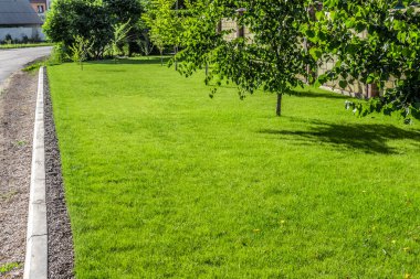 Özel bir evin arka bahçesinde güzel, dengeli bir çim..