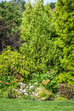 Özel bir evin arka bahçesinde peyzaj. Çim biçme, dekoratif ağaçlar, çiçek yatakları..