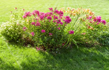 Özel bir evin arka bahçesinde güzel bir çiçek tarhı.