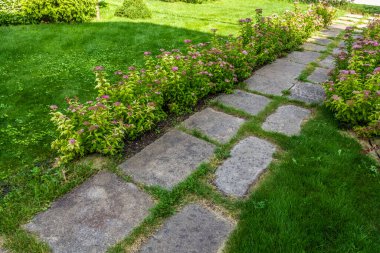 Parktaki yeşil çimlerin arasında güzel bir patika..