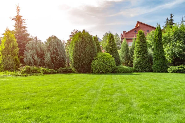 Erba Appena Tagliata Nel Cortile Una Casa Privata — Foto Stock