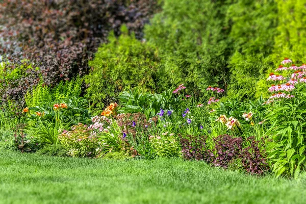 ของสวนหล านของบ านส วนต ดหญ นไม ตกแต ยงดอกไม — ภาพถ่ายสต็อก