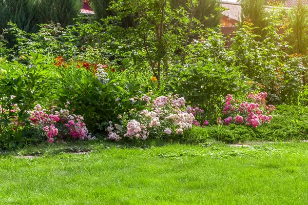 Kertészkedés Egy Magánház Hátsó Udvarán Nyírt Pázsit Díszfák Virágágyások — Stock Fotó