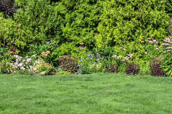 Paesaggio Del Cortile Una Casa Privata Prato Falciato Alberi Decorativi — Foto Stock