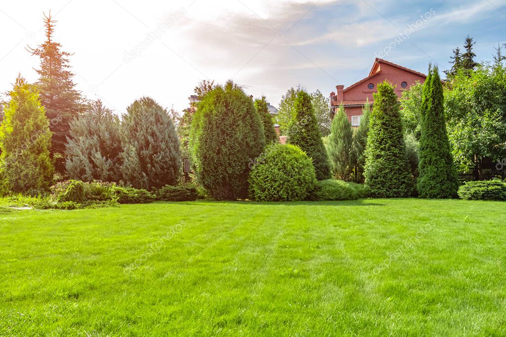 Freshly cut grass in the backyard of a private house.