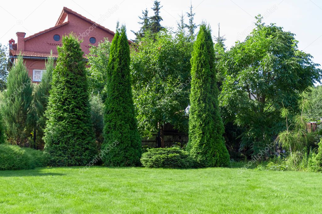 Landscaping of the backyard of a private house. Mowed lawn, decorative trees, flower beds.