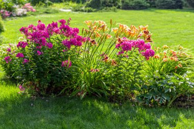 Özel bir evin arka bahçesinde güzel bir çiçek tarhı.