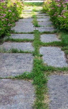 Parktaki yeşil çimlerin arasında güzel bir patika..