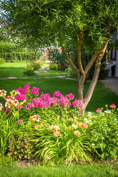 Ein Schönes Blumenbeet Hinterhof Eines Privathauses — Stockfoto
