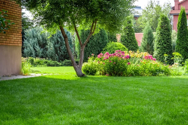 Hermoso Macizo Flores Patio Trasero Una Casa Privada — Foto de Stock