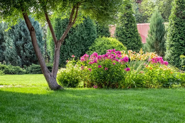 Una Bella Aiuola Nel Cortile Una Casa Privata — Foto Stock