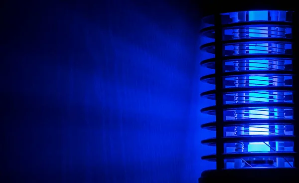 Luz Azul Luz Noite Assassino Insetos — Fotografia de Stock