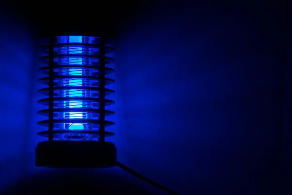 Mavi ışık gece lambası bir böcek katili..
