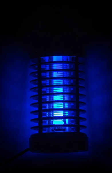 Luz Azul Luz Noite Assassino Insetos — Fotografia de Stock