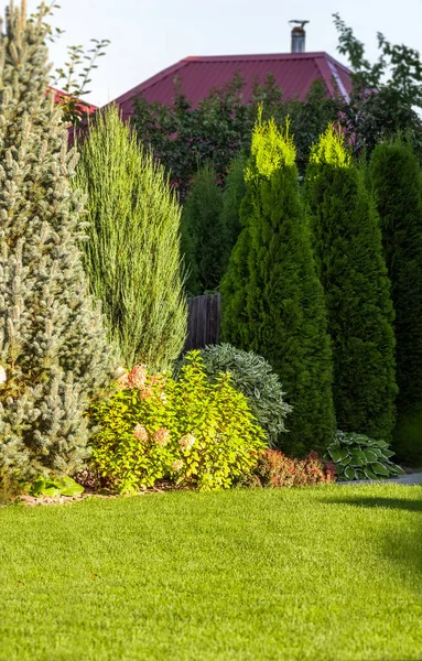 Erba Appena Tagliata Nel Cortile Una Casa Privata — Foto Stock