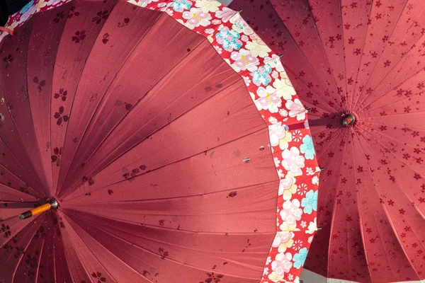 Beautiful umbrella that has flower graphic painted on, sell at a souvenir shop in Yufuin city, Japan