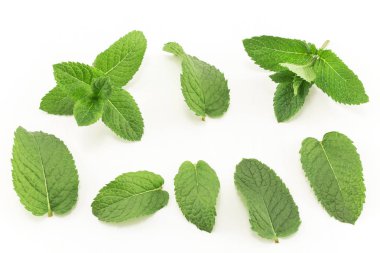 Taze nane üzerinde beyaz izole