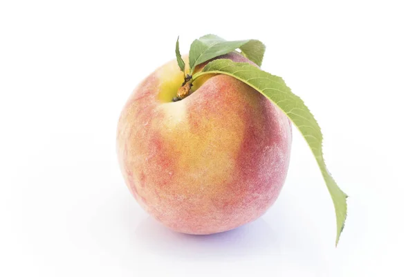 Peach Isolated White Background — Stock Photo, Image
