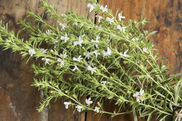 Yaz Savory, Satureja Hortensis, Grup.