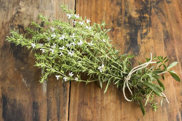 Summer Savory Satureja Hortensis Bunch — Stock Photo, Image