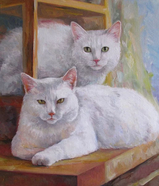 Cat-mamma e gatto-figlia — Foto Stock