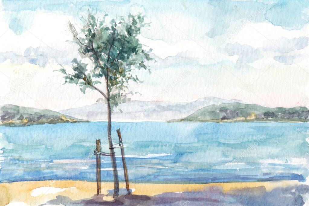 Watercolor painting seascape with coast tree. Croatia