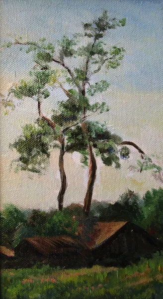 Deux pins à la campagne en été, peinture à l'huile — Photo