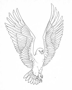 Uçan kartal çizgisi