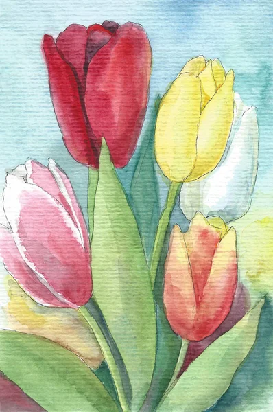 Tarjeta Acuarela Con Tulipanes Coloridos —  Fotos de Stock